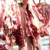 驢肉批發(fā)，驢肉廠家，驢肉，驢肉哪家好，蘭陵驢肉