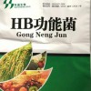 翻堆機，有機肥生產(chǎn)設(shè)備，翻堆機廠家，發(fā)酵菌