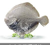 溯源系統 (0)