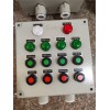 BZC51-A2D2K1G設備機旁防爆操作柱
