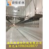 殺雞流水線設備宰鴨脫毛機