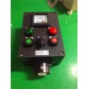 BZC8050-A2B1D2G水泵現(xiàn)場防爆防腐操作柱