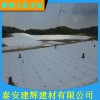 膨潤土防水毯批發，廠家直銷，量大從優，質量保證。快速發貨