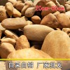 正宗駁岸石、純天然圍邊石頭、花壇花園點綴黃蠟石、小區(qū)草坪石
