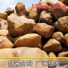 小區(qū)置景黃蠟石、公園觀賞石、別墅花園黃蠟石、水池圍邊黃色石