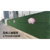 江蘇貝森人造草坪，圍擋草坪，裝飾草坪，園林草坪，幼兒園草坪，足球場草坪