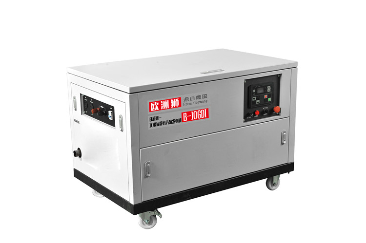 10KW汽油發(fā)電機(jī)B-12GDI (14)