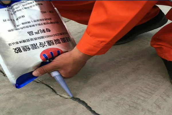 無(wú)大5