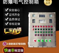 防爆配電箱 (3)