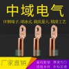 DT銅鼻子 堵油式 國(guó)標(biāo)紫銅線鼻子線耳 電纜接線端子 螺釘孔可定做