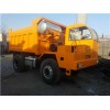 廠家熱銷(xiāo)礦用四不像車(chē) 四不像自卸車(chē) 四缸工程四不像車(chē)