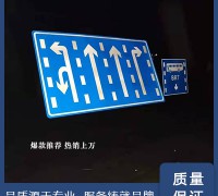 公路行車分道指示牌加工生產廠家,懸臂交通標志桿 (4)