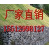 格賓籠廠(chǎng) 專(zhuān)業(yè)格賓籠廠(chǎng)家