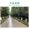 pvc護(hù)欄草坪護(hù)欄柵欄圍欄戶外花園圍欄庭院柵欄綠化欄桿塑鋼圍欄草坪護(hù)欄柵欄圍欄戶外花園圍欄