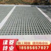 并字植草磚 混凝土植草磚 植草磚價格 廠家供應 歡迎選購 量大從優