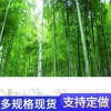 北海合浦縣籬笆網(wǎng)柵欄徐州鼓樓竹籬笆哪家好
