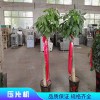 供應(yīng)壓環(huán)機(jī)-正品壓片機(jī)新舊機(jī)器齊全-售后無(wú)憂