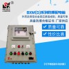 防爆照明動(dòng)力控制配電箱 儀表防爆電箱防爆箱電源控制箱鑄鋁 定做