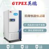 化學(xué)室防爆恒溫恒濕試驗箱