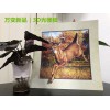 3D變幻卡、3D光柵立體畫(huà)、裸眼3D光柵膜、廠家直銷可定制