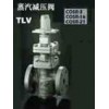 日本TLV閥門，日本TLV蒸汽減壓閥