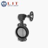 進(jìn)口球墨鑄鐵對(duì)夾式蝶閥 德國(guó)LIT力特品牌