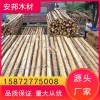杉木桿杉木 原產(chǎn)地批發(fā) 好貨源 好品質(zhì) 歡迎來(lái)電洽談