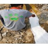 惠州廠房漏水找專業(yè)防水補(bǔ)漏公司有哪些
