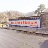 銅陵雅樂士漆戶外鄉(xiāng)鎮(zhèn)廣告一樣的流派不一樣的做