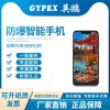 化工廠、供電廠防爆手機(jī) Exmp 1406