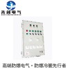供應甲烷環(huán)境用防爆儀表箱，廠家直銷