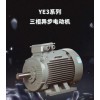 YE3 系列三相異步電動機(jī)