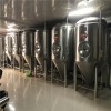 天津小型500升精釀啤酒設(shè)備 酒吧啤酒設(shè)備 啤酒釀制設(shè)備