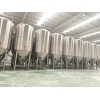 小型啤酒廠釀酒設(shè)備 自動化啤酒設(shè)備廠家定制 5000升啤酒生產(chǎn)設(shè)備