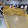 捕魚網 加粗牢固魚蝦防逃編織網