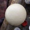 礦山充填材料 陜西礦用充填馬麗散 礦用堵水材料生產(chǎn)廠家